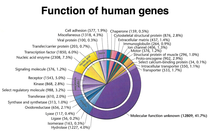 growing old - Human Genes