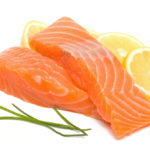 Salmon