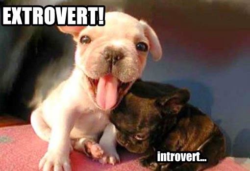Extrovert-Introvert